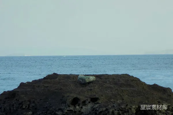 高清摄影 一块石头安静地坐落在海洋旁的深色岩石上。