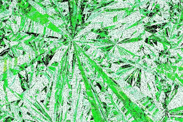 高清摄影 抽象的几何设计，以绿色调呈现。