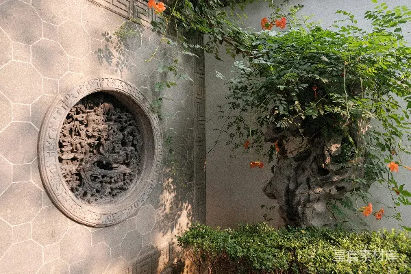 高清摄影 几盆盆栽植物放在墙上。