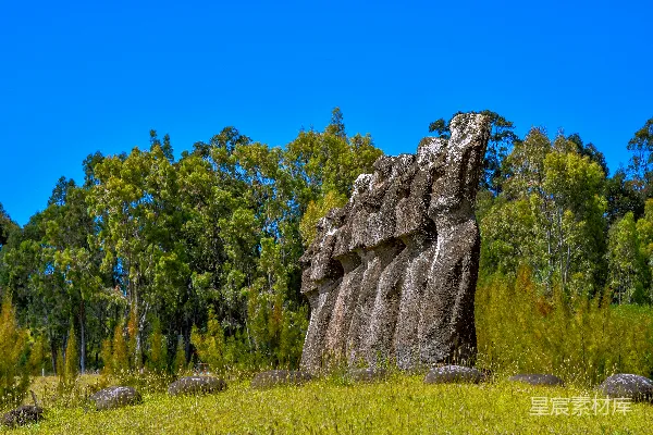 高清摄影 摩艾石像矗立在草地上，周围有树木。