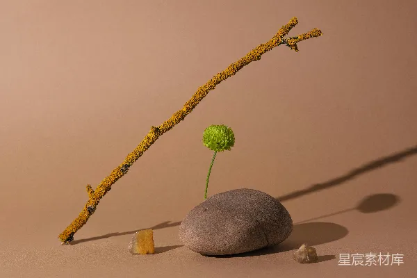 高清摄影 黄色的棍子，绿色的花，棕色背景上的石子。