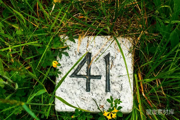 高清摄影 一块标有数字41的石头坐落在草地上。
