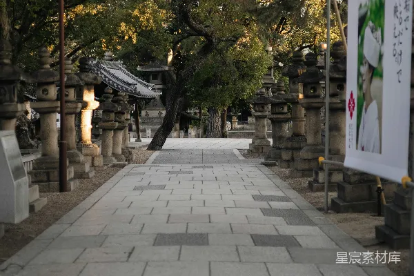 高清摄影 石板小径两旁排列着灯笼和树木