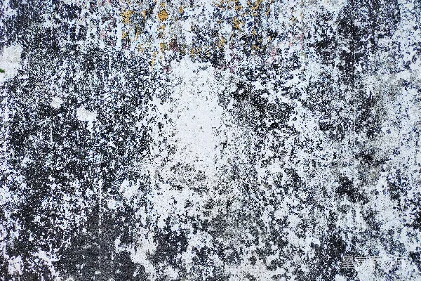 高清摄影 白色和黄色的抽象画