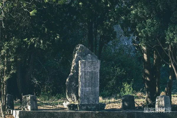 高清摄影 一片林区中间的墓地