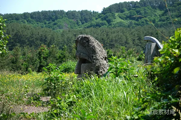 高清摄影 一块大石头坐落在一片郁郁葱葱的田野中央