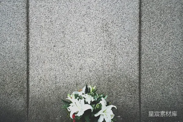 高清摄影 地板上的白花
