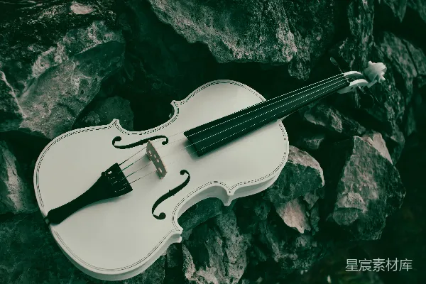 高清摄影 一把白色的小提琴躺在岩石表面。