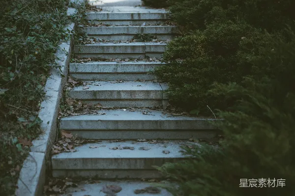 高清摄影 一套带有树叶的混凝土台阶