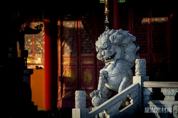 高清摄影 一座狮子雕像位于建筑物前。