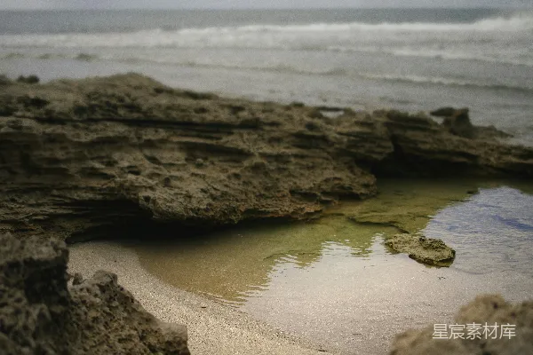 高清摄影 日间海滩上的棕色岩石地貌
