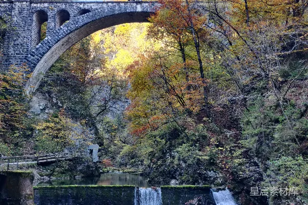 高清摄影 一座横跨河流的桥，周围环绕着树木。