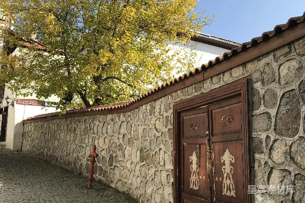 高清摄影 一条石板小径，背景中有一棵树和一座建筑。
