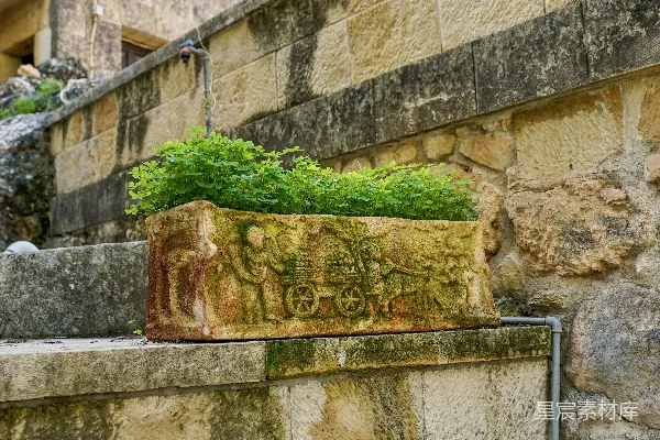 高清摄影 一个刻有细节的石制花盆里种着绿色植物。