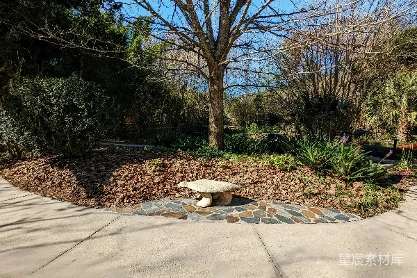 高清摄影 公园中央的一条石凳