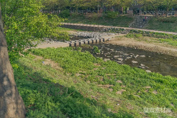 高清摄影 白天河边的绿色草地