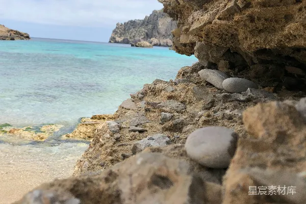 高清摄影 一群海豹在岩石海滩上。