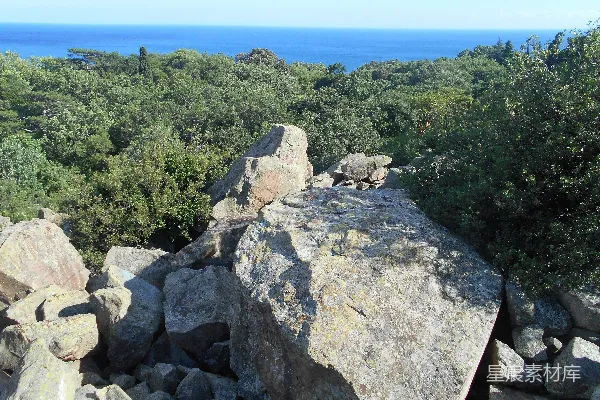 高清摄影 一片岩石区域，背景中有树木和水。