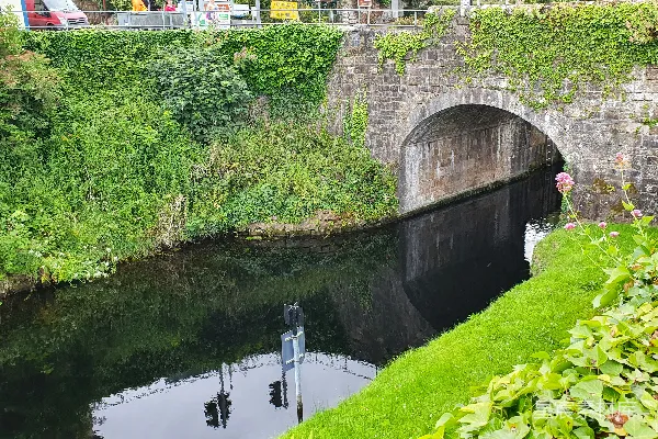高清摄影 一座桥横跨一条河流，一辆火车正驶过它。