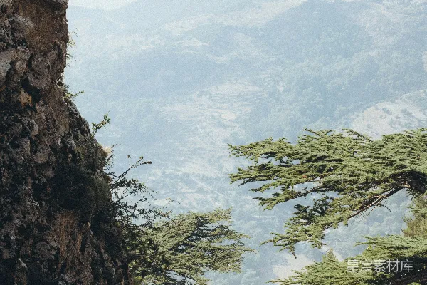 高清摄影 一只山羊站在岩石悬崖的顶端
