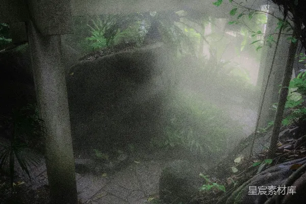 高清摄影 雾气缭绕的丛林，周围是混凝土建筑和茂密的植被。