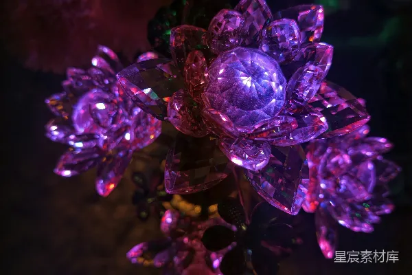 高清摄影 在暗色背景下，紫色发光的水晶花朵。