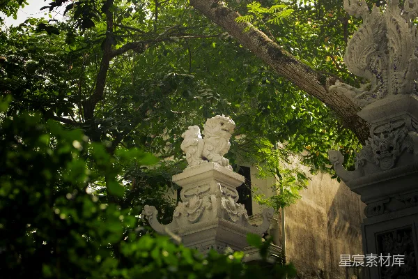 高清摄影 在茂密的绿树丛中，石狮子雕像