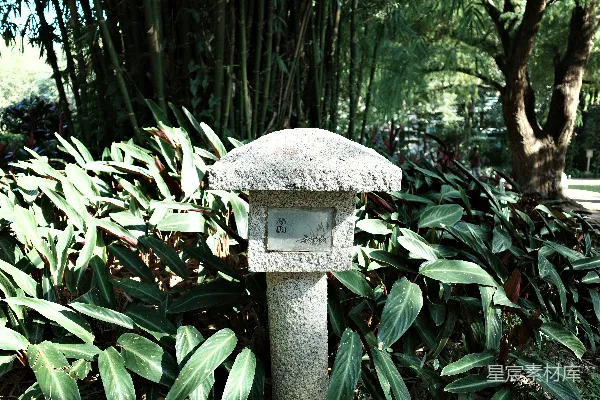 高清摄影 石灯笼周围环绕着茂密的绿叶。