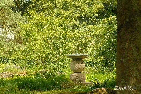 高清摄影 在郁郁葱葱的绿树和草地间，立着一个石制的鸟浴池。