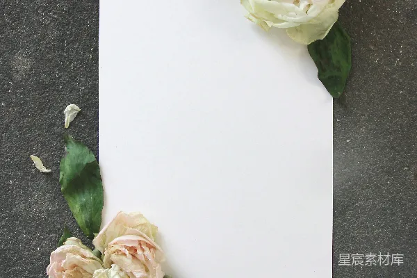 高清摄影 一个白色的矩形物体，上面有花朵图案。
