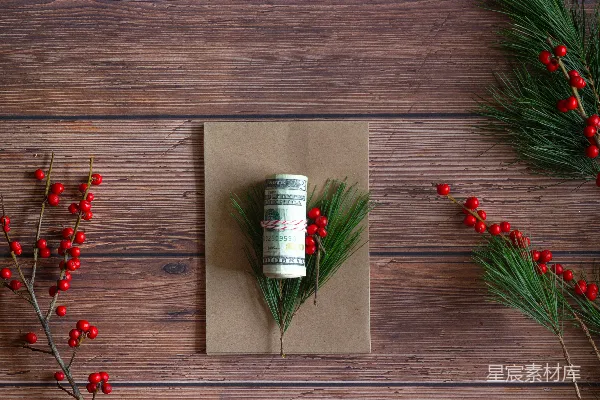 高清摄影 红绿相间的植物挂在棕色的木墙上