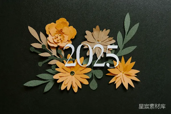 高清摄影 一排带有花朵图案的数字的特写。