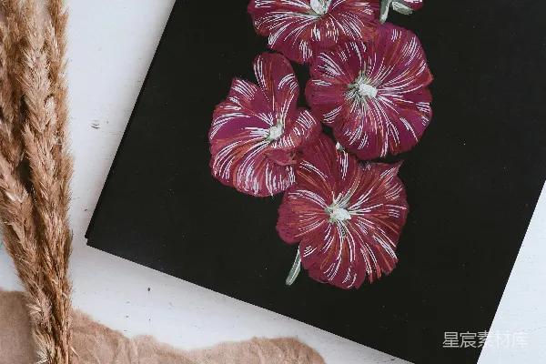 高清摄影 红白花卉画