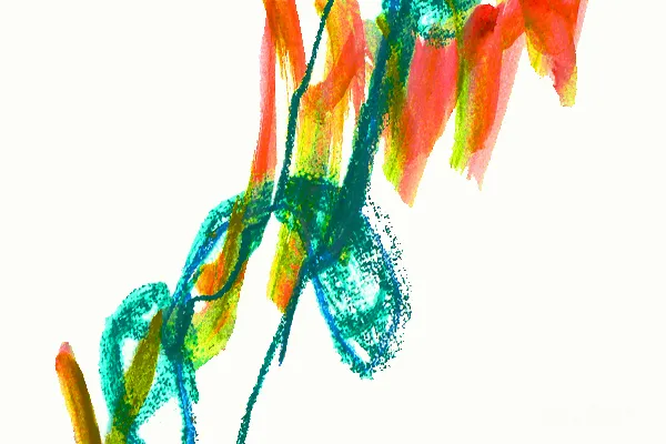 高清摄影 一幅白色背景上的植物绘画图片