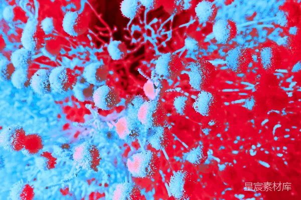 高清摄影 背景图案