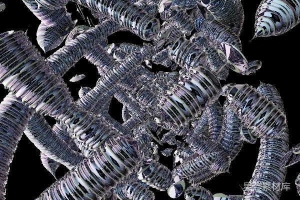 高清摄影 一群鱼排在一起游动