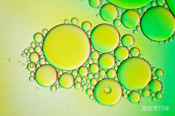 高清摄影 绿色和白色波点插图