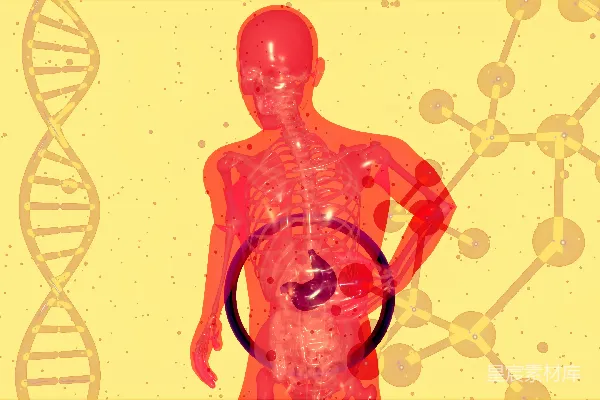 高清摄影 一张显示人体的图片，图中带有人体示意图。