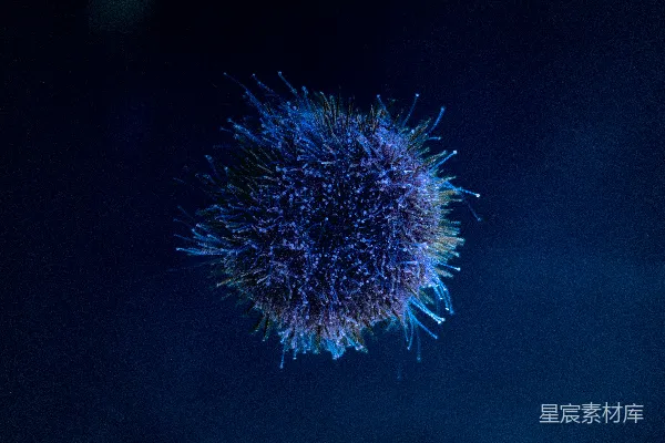 高清摄影 一个蓝色、长刺的海洋生物在黑暗中漂浮。