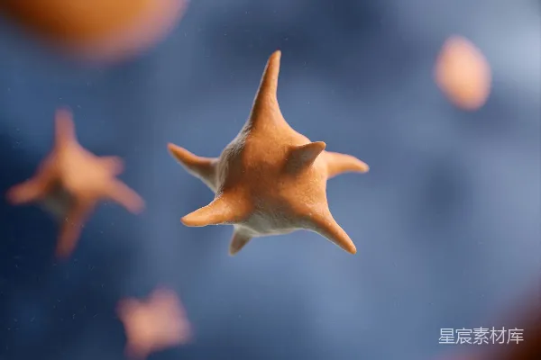 高清摄影 一只海星在蓝天下的特写。