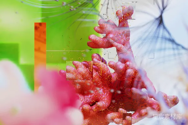 高清摄影 一朵花的特写，背景模糊不清。