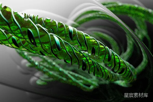 高清摄影 一张绿色植物的特写照片