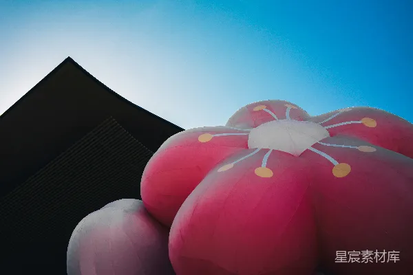 高清摄影 粉色花雕塑映衬在黑暗的建筑和天空背景下