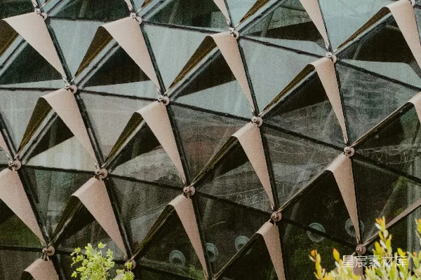 高清摄影 几何建筑立面搭配绿色植物
