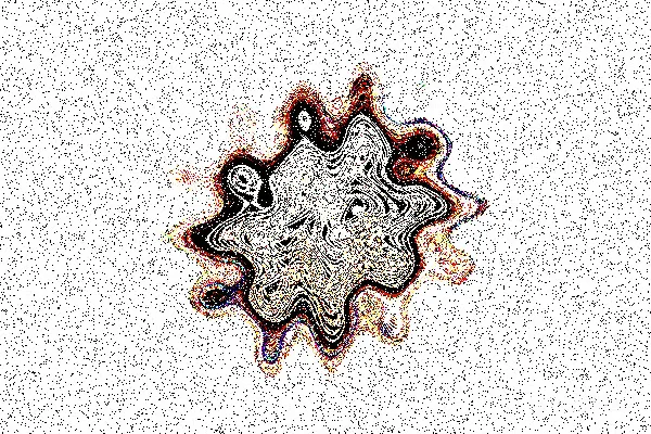 高清摄影 一个抽象的、波浪形的斑块，背景是白色的。