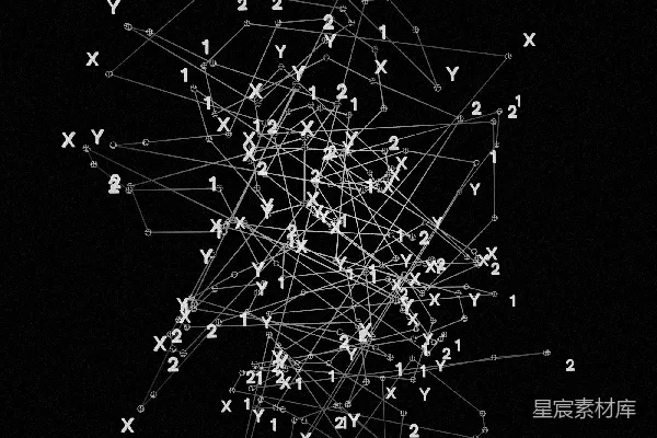 高清摄影 一幅黑白照片中，一棵树上布满了许多小白灯。