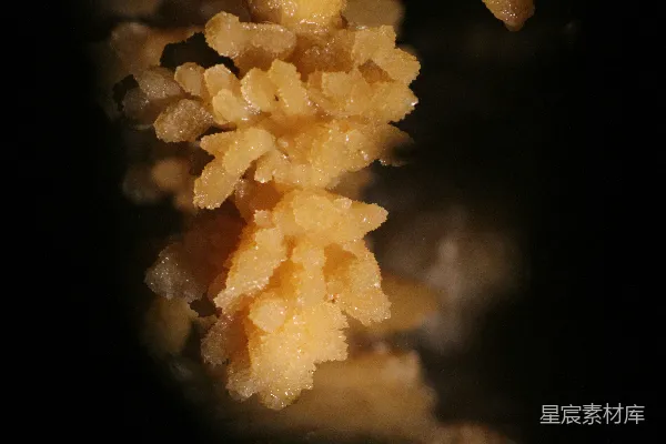 高清摄影 一张桌子上的一堆食物的特写镜头