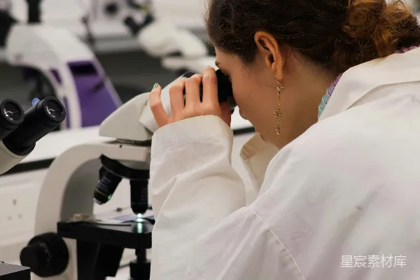 高清摄影 科学家在实验室里用显微镜观察。