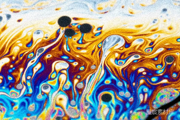 高清摄影 一只蓝白斑点的物体的特写照片