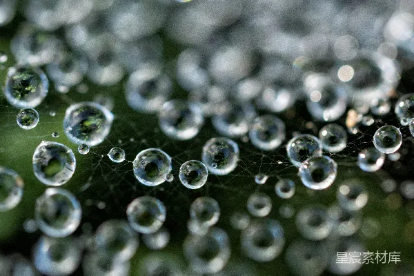 高清摄影 叶子上的水珠特写